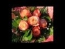 390927_17024_n_1