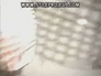 3732_9832694_n_2