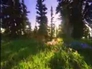 3844_8611671_n_2