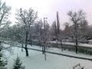 411656_92549_n_1