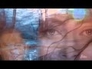 411848_17811_n_1