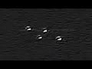 412720_57199_n_1