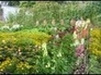 414069_83472_n_1