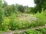 414380_95179_n_1