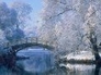 414475_63945_n_1