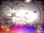 415697_86813_n_1