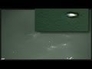 415756_39686_n_1
