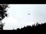 417911_40115_n_1