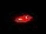 419007_87373_n_1