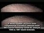 401377_95364_n_1