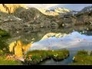 410765_59200_n_1