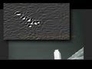 410913_12846_n_1