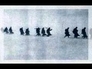 421024_35000_n_1