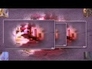 421028_97527_n_1