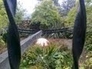422959_51423_n_1