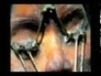 425678_10344_n_1