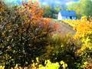 426832_62094_n_1