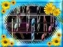 429500_46341_n_1
