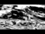 420290_18040_n_1