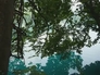 42203_599421_n_2
