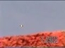 433168_55866_n_1