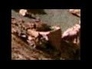433213_83620_n_1