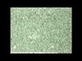 433469_83174_n_1