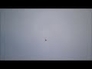 433471_51303_n_1