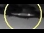 435946_54295_n_1