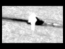 436883_69007_n_1