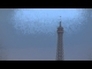 437910_71067_n_1