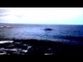 439677_45656_n_1
