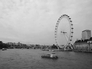 43019_408356_n_3