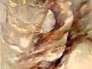 441893_77721_n_1