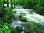 442920_86196_n_1
