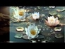 445936_61764_n_1
