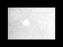 446020_80237_n_1