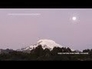 446497_58394_n_1