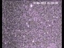 446579_92936_n_1