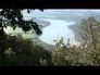 447231_96742_n_1