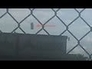 448039_10703_n_1