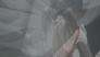 448509_33429_n_2