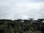 449970_79240_n_1