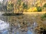 404197_62441_n_1
