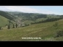 440303_58651_n_1