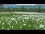 440304_12125_n_1