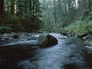44095_416049_n_2