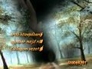 451157_85400_n_1