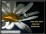 451520_20989_n_1