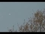 451886_44111_n_1